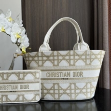 Christian Dior Shopping Bags